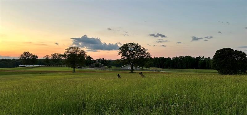 Image for property 3073 Highway 100, Greenville, GA 30222