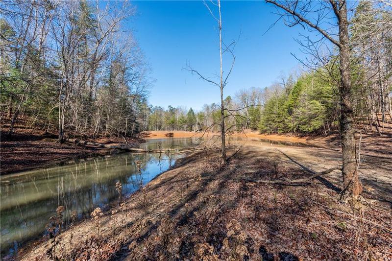 Image for property 90 Lake Point Drive, Dahlonega, GA 30533