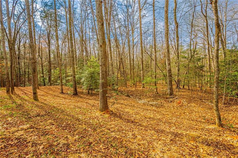 Image for property 90 Lake Point Drive, Dahlonega, GA 30533