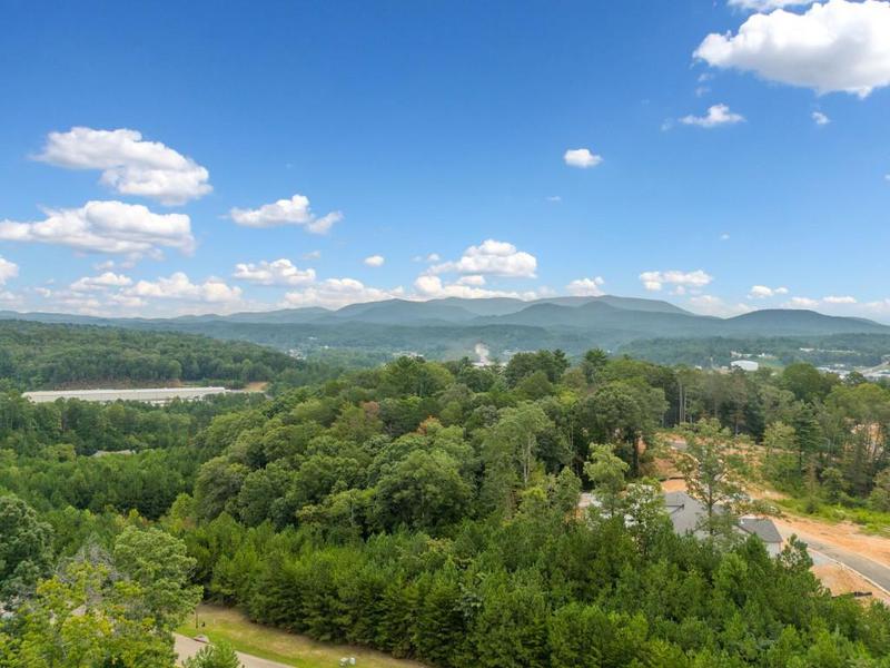 Image for property 56 Pinnacle Way, Ellijay, GA 30540