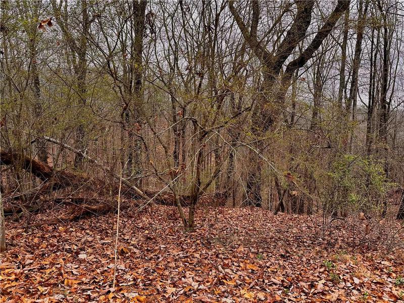 Image for property 2598 White Sulphur Road, Gainesville, GA 30501
