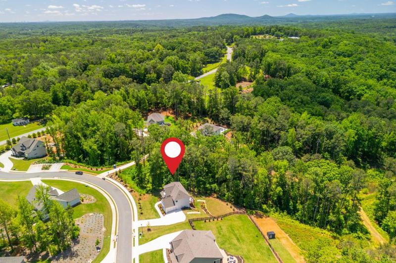 Image for property 1013 Liberty Springs Drive, Woodstock, GA 30188