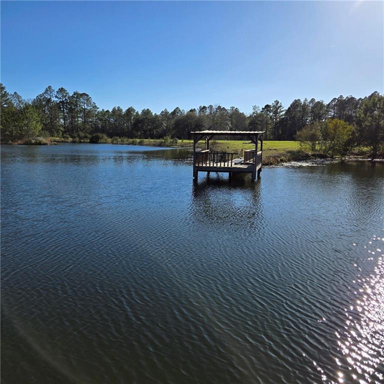 Image for property 2606 Beechwood Drive, Jesup, GA 31545