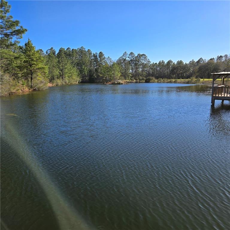 Image for property 2606 Beechwood Drive, Jesup, GA 31545