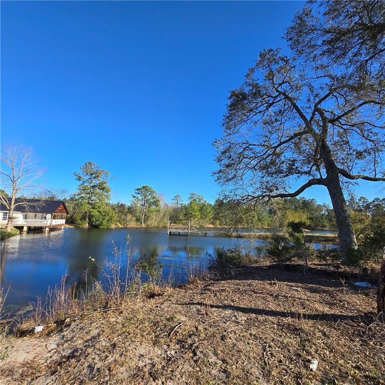 Image for property 2606 Beechwood Drive, Jesup, GA 31545