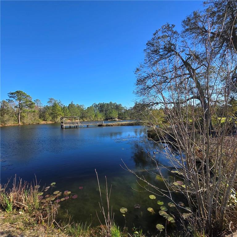 Image for property 2606 Beechwood Drive, Jesup, GA 31545