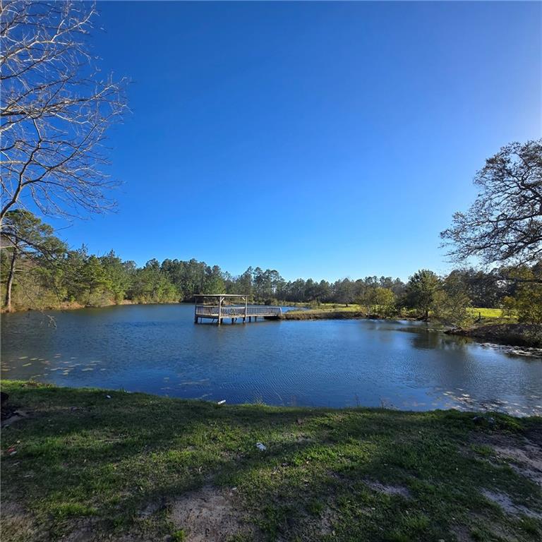 Image for property 2606 Beechwood Drive, Jesup, GA 31545