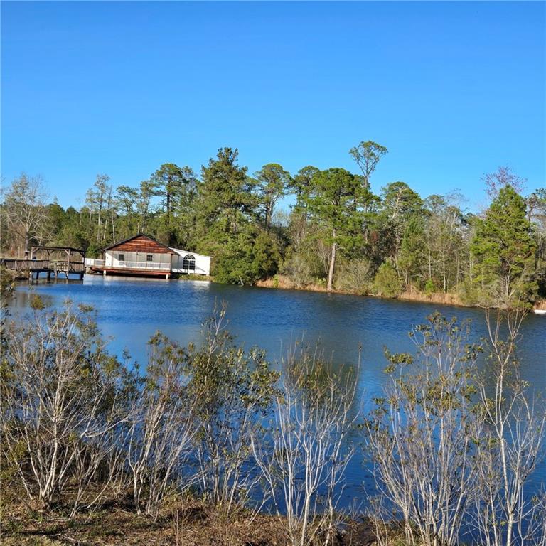 Image for property 2606 Beechwood Drive, Jesup, GA 31545
