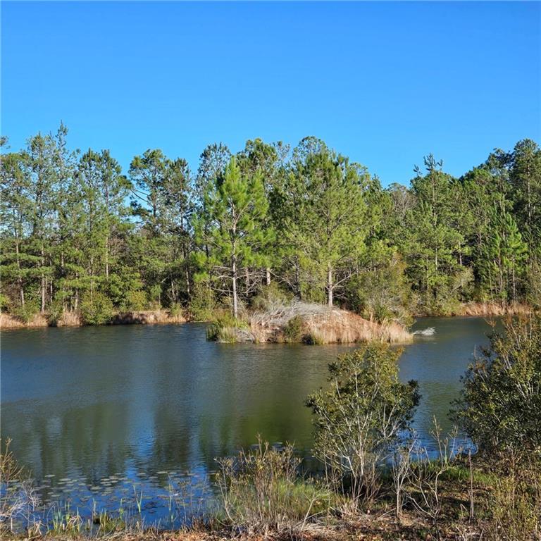 Image for property 2606 Beechwood Drive, Jesup, GA 31545