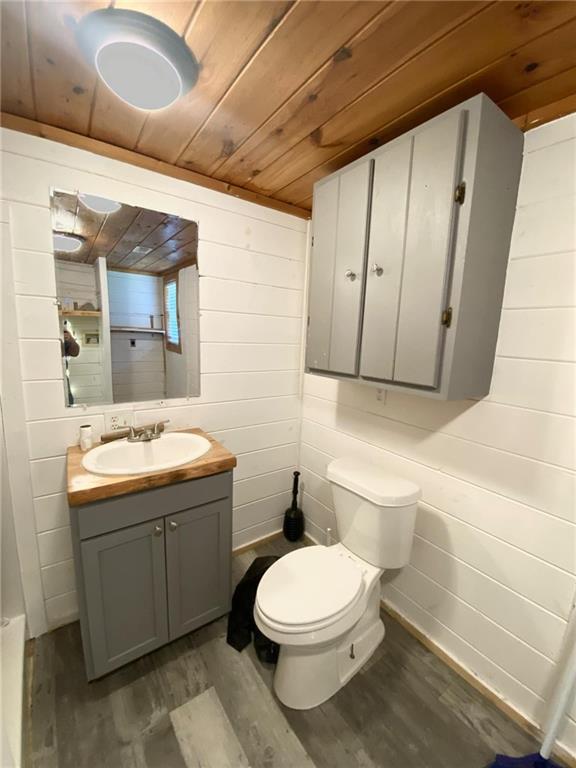 Image for property 390 Haddock Drive, Blue Ridge, GA 30513
