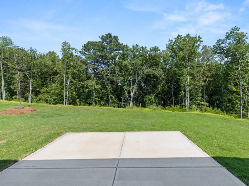 Image for property 40 Majestic Oak Circle, Dallas, GA 30132
