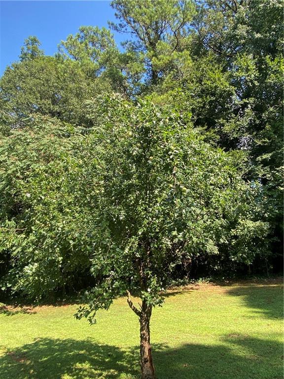 Image for property 4748 Arcado Road, Lilburn, GA 30047