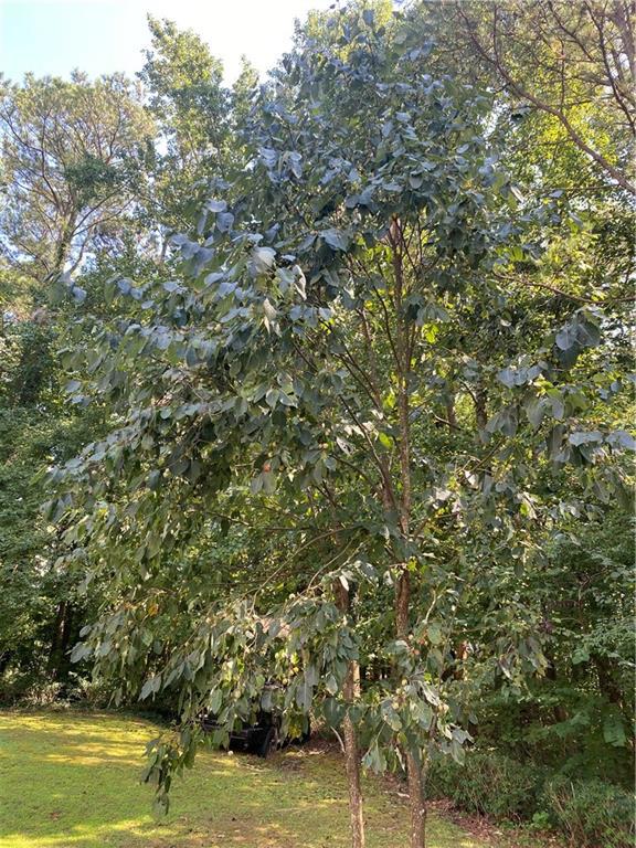 Image for property 4748 Arcado Road, Lilburn, GA 30047