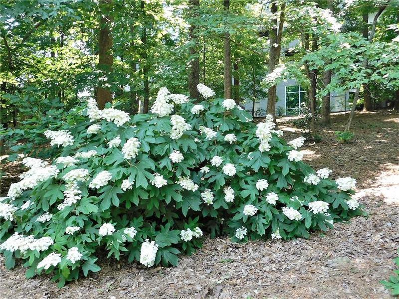 Image for property 3300 Windy Ridge Parkway 1110, Atlanta, GA 30339
