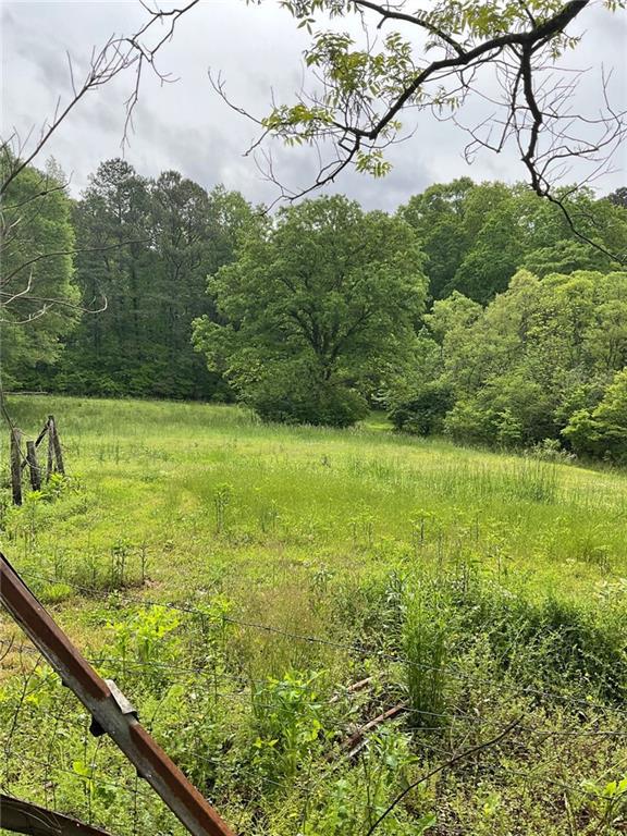 Image for property 7000 PETERSBURG Road, Fairburn, GA 30213
