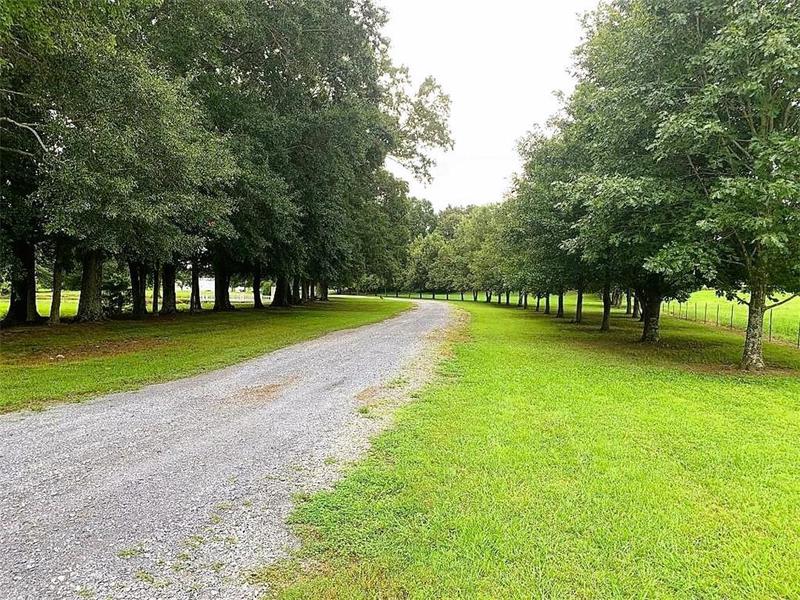 Image for property 1441 Mountain Loop Road, Sugar Valley, GA 30746