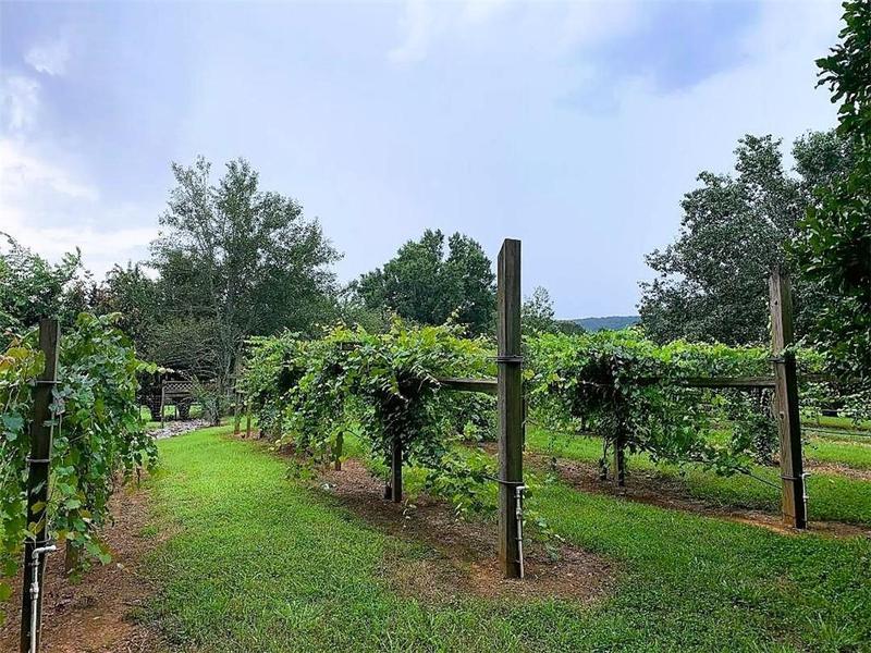 Image for property 1441 Mountain Loop Road, Sugar Valley, GA 30746