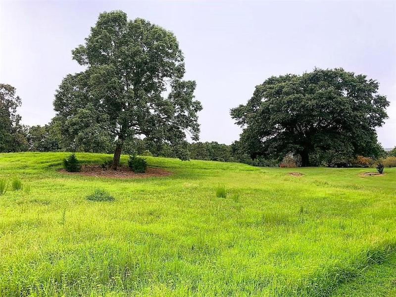 Image for property 1441 Mountain Loop Road, Sugar Valley, GA 30746