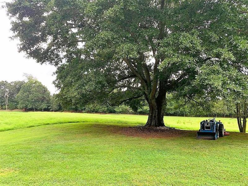 Image for property 1441 Mountain Loop Road, Sugar Valley, GA 30746