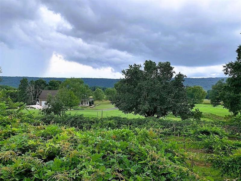 Image for property 1441 Mountain Loop Road, Sugar Valley, GA 30746