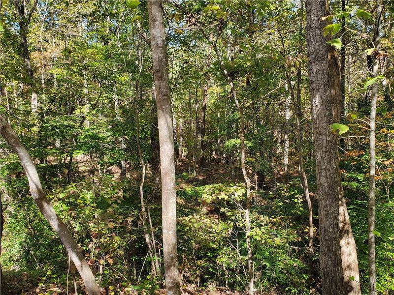 Image for property 526 Antioch Church Road, Talking Rock, GA 30175