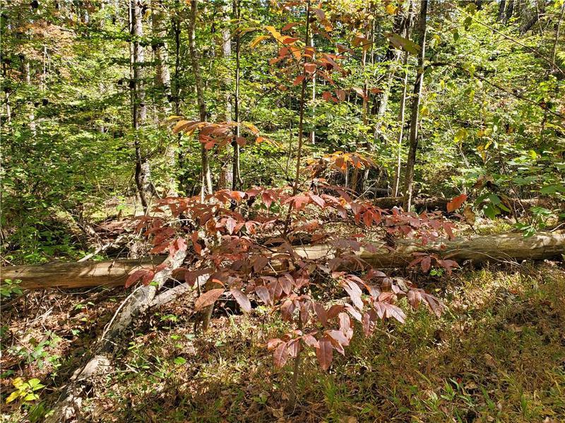 Image for property 526 Antioch Church Road, Talking Rock, GA 30175