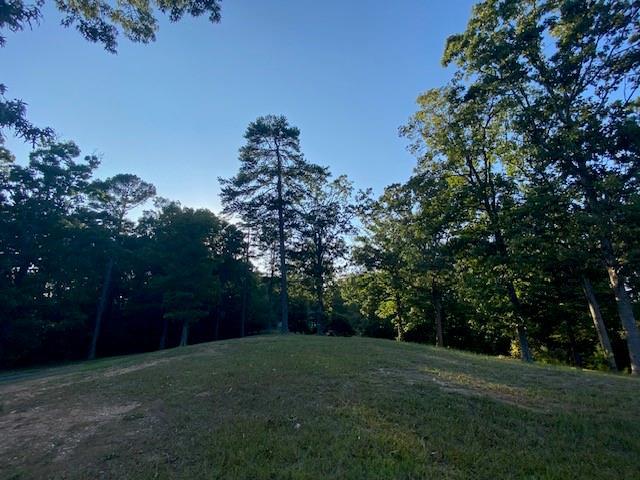 Image for property 1526 Lost Mountain Road, Powder Springs, GA 30127