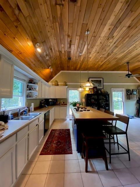 Image for property 1526 Lost Mountain Road, Powder Springs, GA 30127