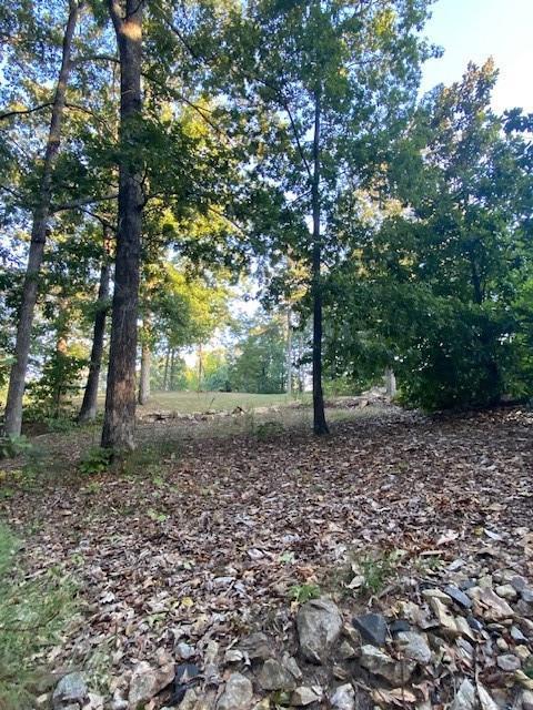 Image for property 1526 Lost Mountain Road, Powder Springs, GA 30127