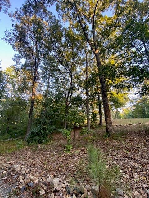 Image for property 1526 Lost Mountain Road, Powder Springs, GA 30127