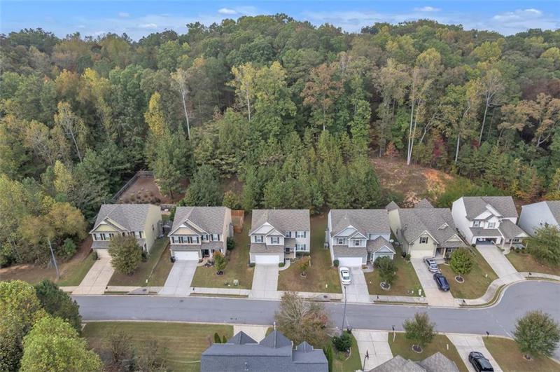 Image for property 171 PINNACLE POINT Court, Dallas, GA 30132