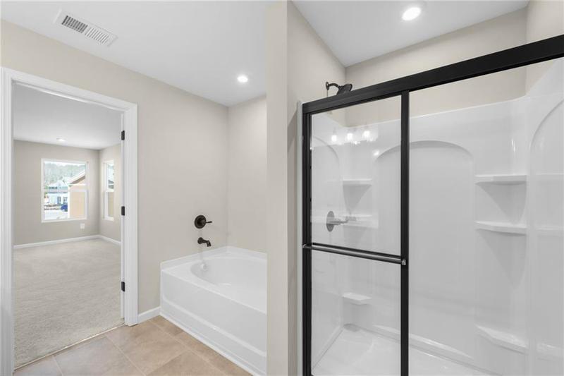 Image for property 234 Sage Woods Way, Dallas, GA 30132