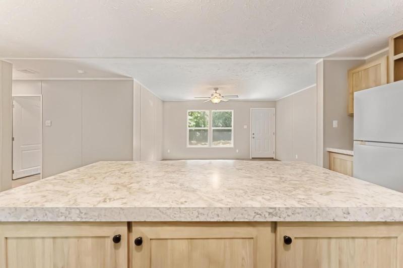 Image for property 55 Project Street, Colbert, GA 30628