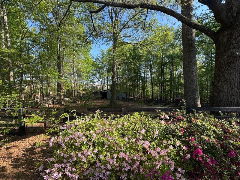 Image for property 5254 Franklin Goldmine Road, Cumming, GA 30028