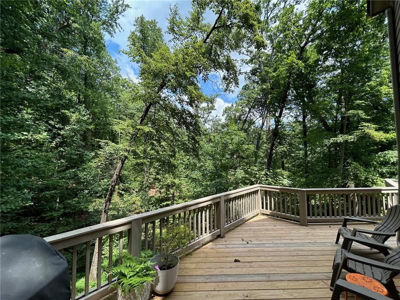 Image for property 57 Shaggy Maple Lane, Big Canoe, GA 30143