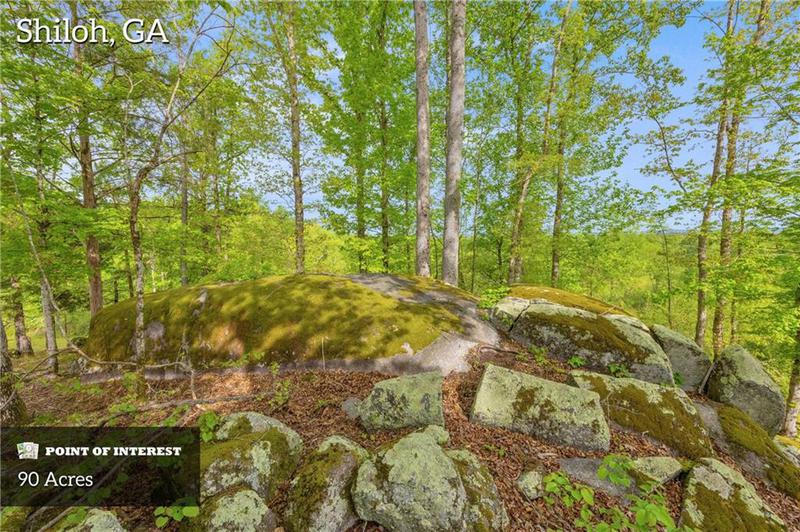 Image for property 2450 Chestnut Grove Road, Shiloh, GA 31826