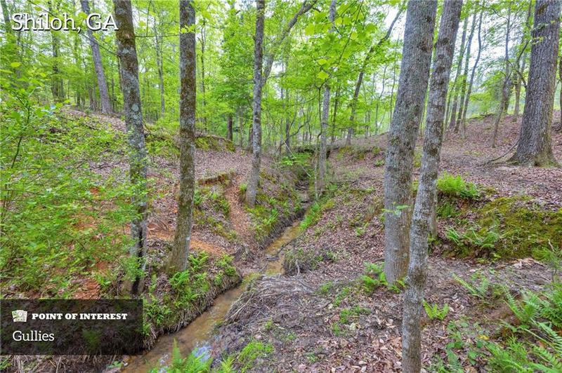 Image for property 2450 Chestnut Grove Road, Shiloh, GA 31826