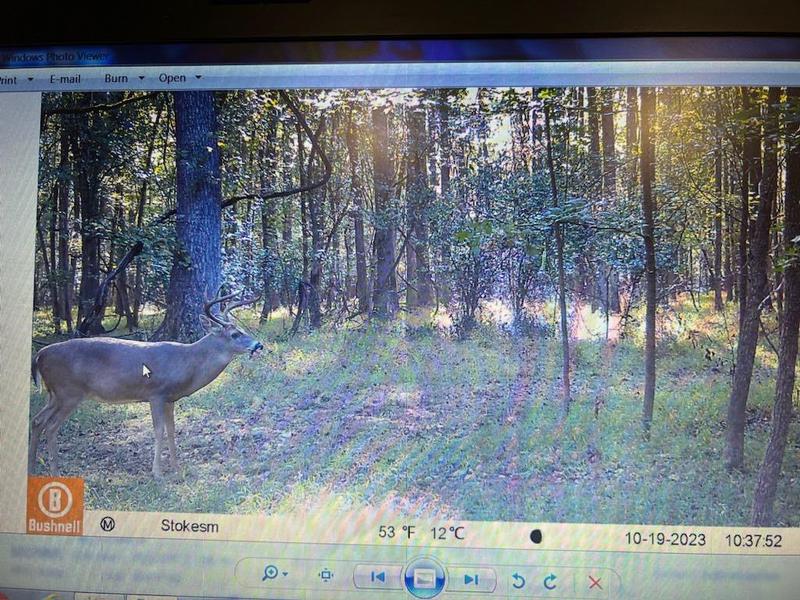 Image for property 2450 Chestnut Grove Road, Shiloh, GA 31826