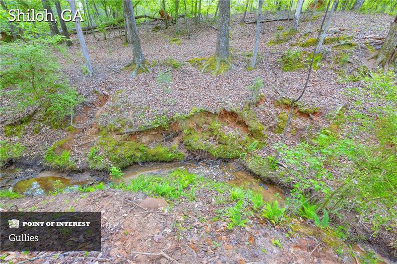 Image for property 2450 Chestnut Grove Road, Shiloh, GA 31826