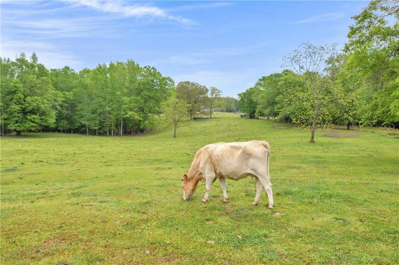 Image for property 2450 Chestnut Grove Road, Shiloh, GA 31826