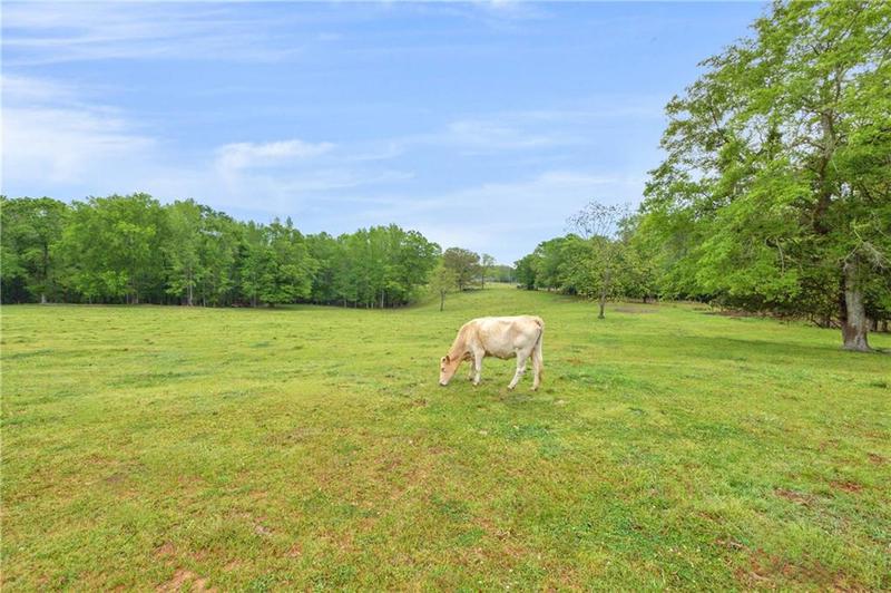 Image for property 2450 Chestnut Grove Road, Shiloh, GA 31826