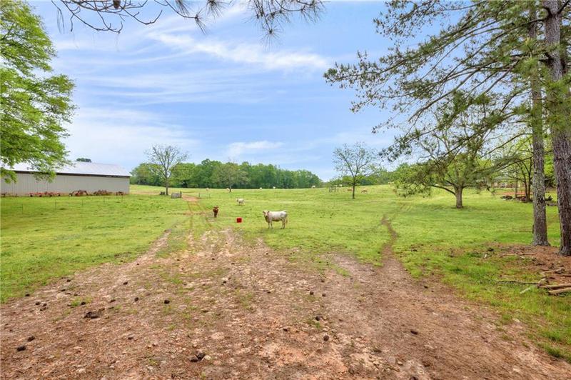 Image for property 2450 Chestnut Grove Road, Shiloh, GA 31826