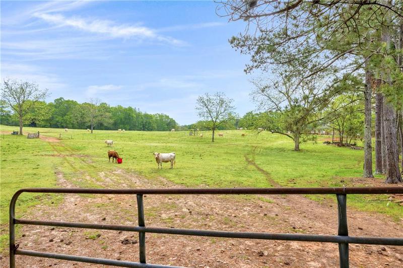 Image for property 2450 Chestnut Grove Road, Shiloh, GA 31826