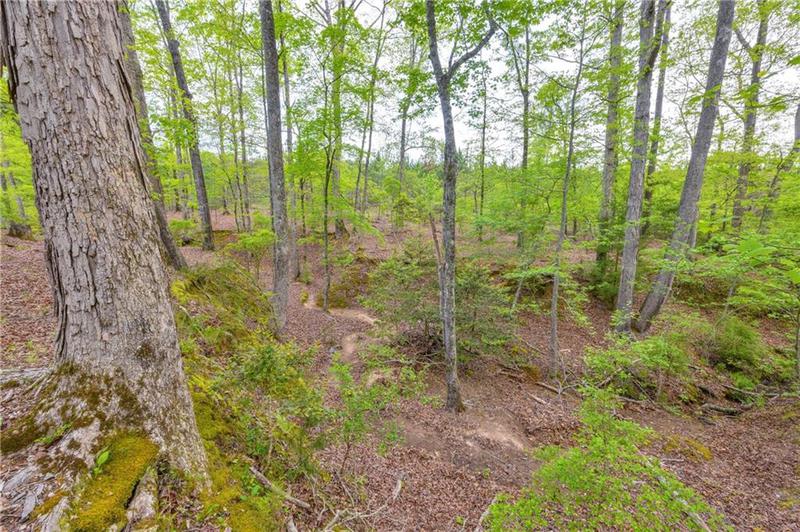 Image for property 2450 Chestnut Grove Road, Shiloh, GA 31826