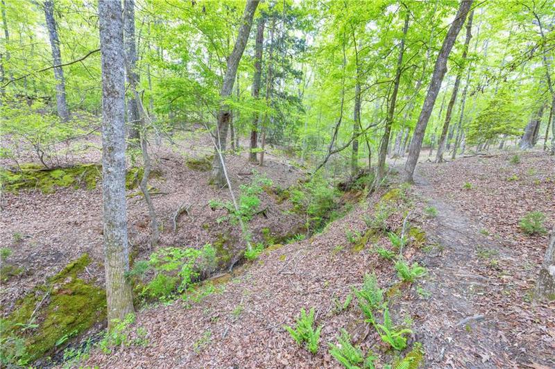 Image for property 2450 Chestnut Grove Road, Shiloh, GA 31826