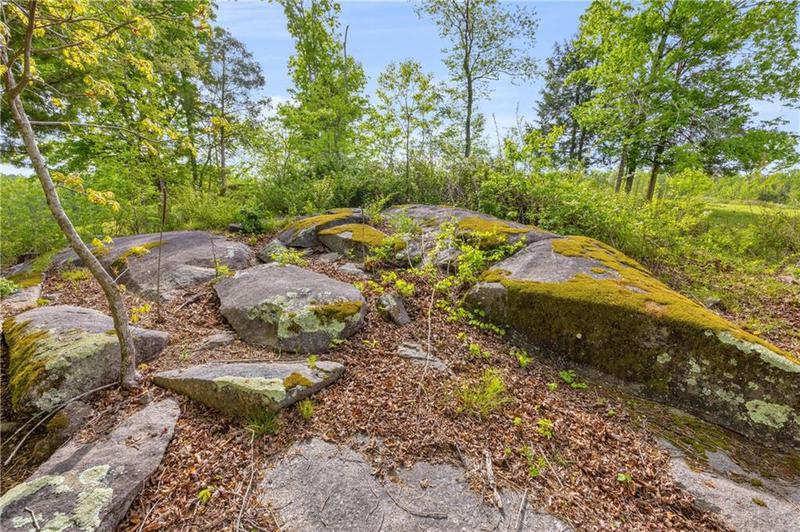 Image for property 2450 Chestnut Grove Road, Shiloh, GA 31826