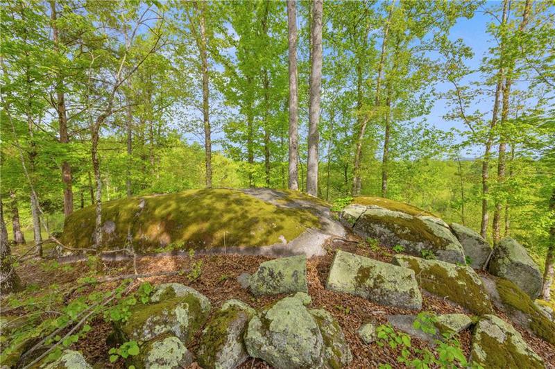 Image for property 2450 Chestnut Grove Road, Shiloh, GA 31826