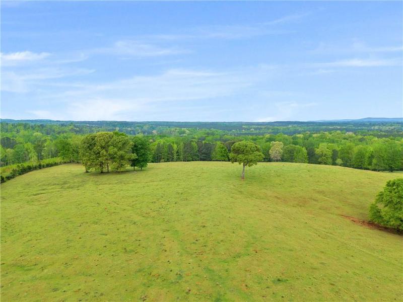 Image for property 2450 Chestnut Grove Road, Shiloh, GA 31826