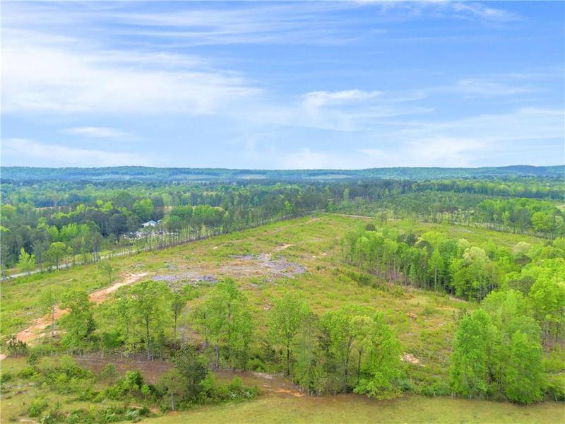 Image for property 2450 Chestnut Grove Road, Shiloh, GA 31826