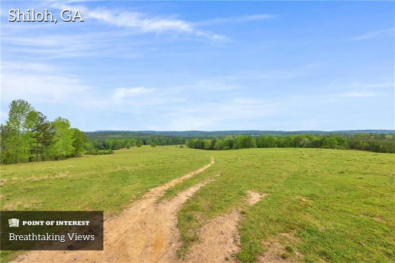 Image for property 2450 Chestnut Grove Road, Shiloh, GA 31826